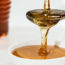 10 Best Manuka Honey For Maximum Immune System Protection (2022)