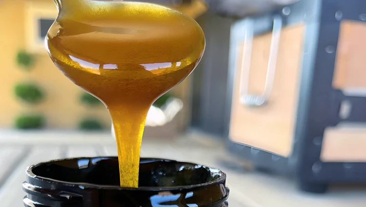 monofloral manuka honey